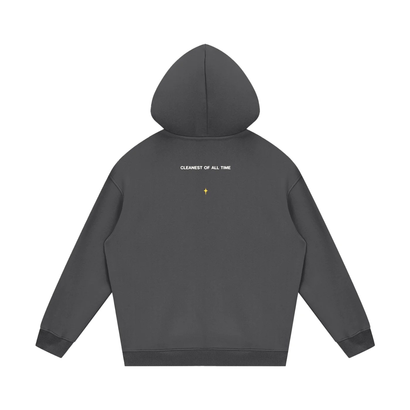 C.O.A.T. Icon Sparkle Hoodie - Image 12