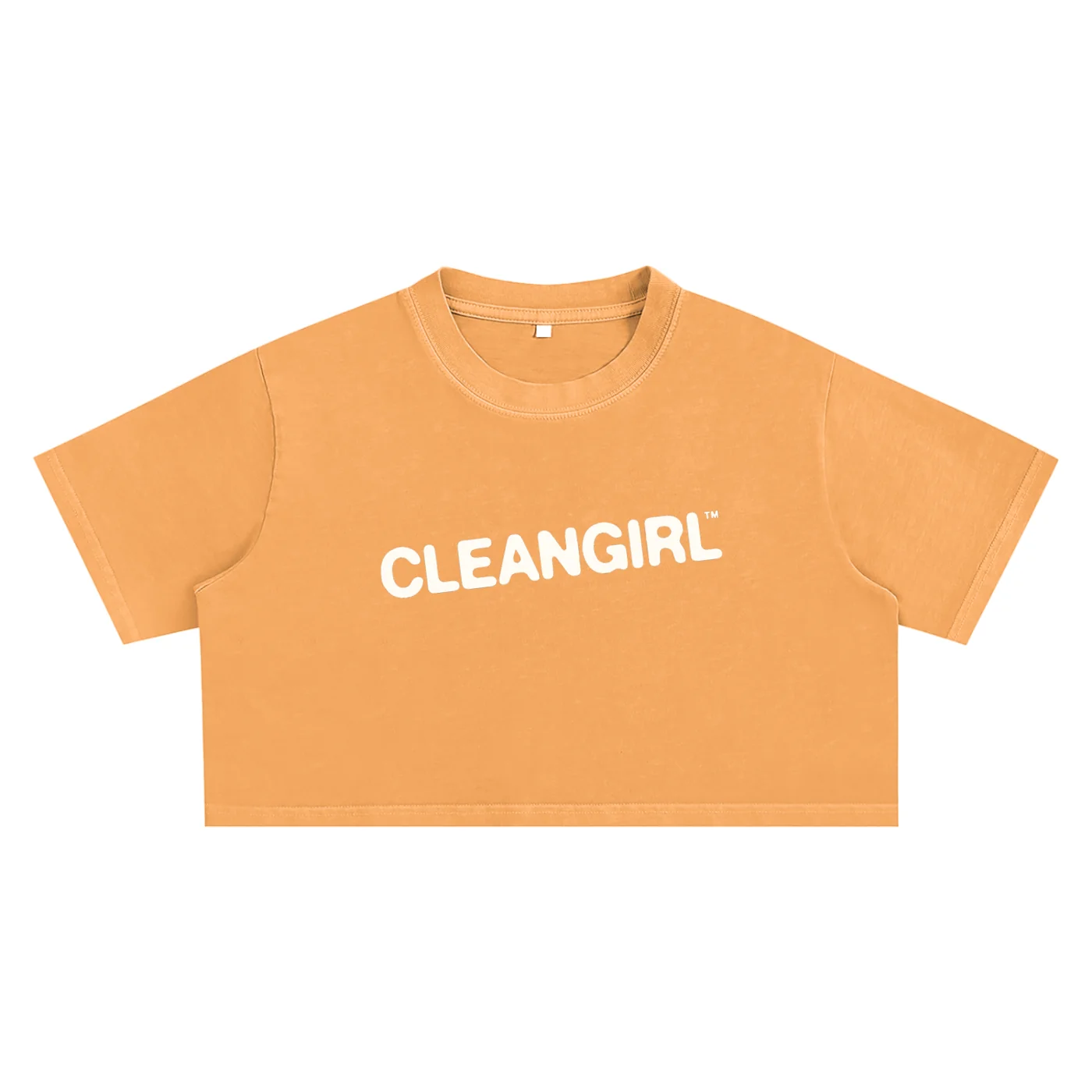Faded Cleangirl™ Icon Crop Tee - Image 5