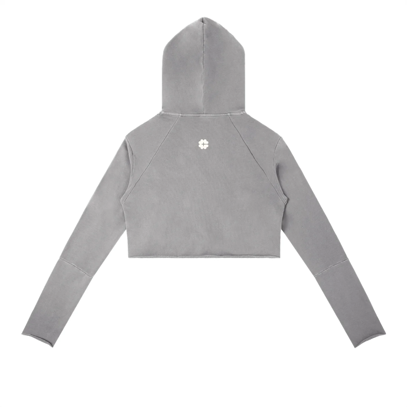 Hidden Icon Raw Crop Hoodie - Image 4